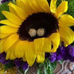 Silver and Gold Earrings